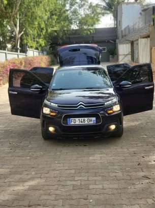 citroen c4-cactus 2019 image 11