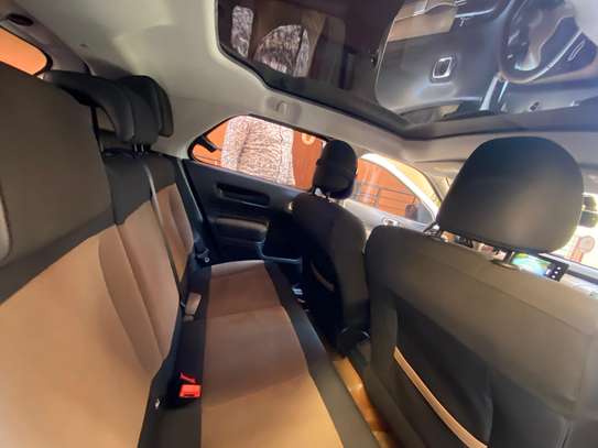 C4 cactus image 11