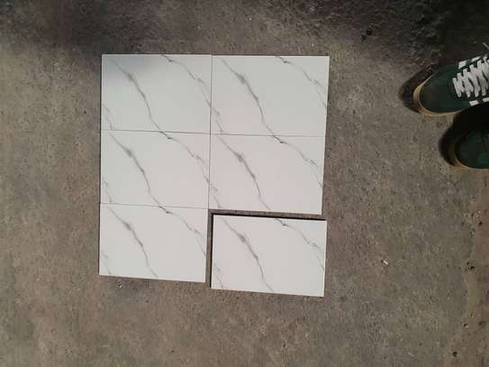 Carreaux Faïence 20X30 image 9