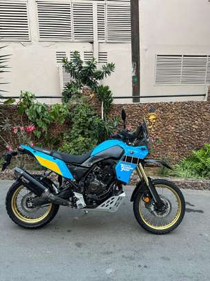Tenere image 5