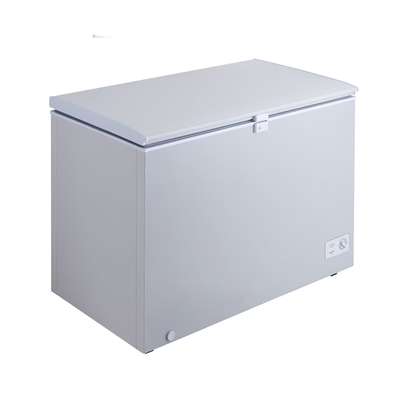 CONGELATEUR LG HORIZONTAL 300LITRES image 2