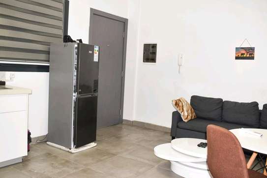 Studio americain meublé image 5