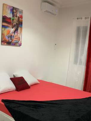 APPARTEMENT MEUBLÉ À LOUER MERMOZ image 12