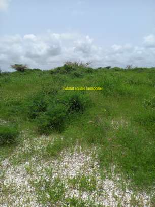 Terrain 11,18Hectares à vendre vers Notto image 5