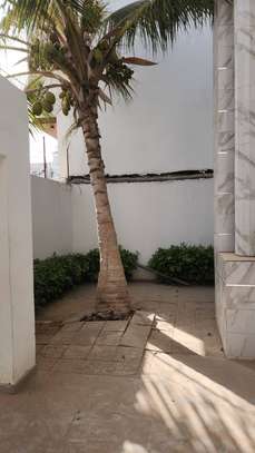 Villa R+1 , F6 à louer aux mamelles image 10