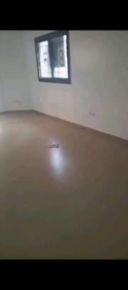 Appartement spacieux image 1