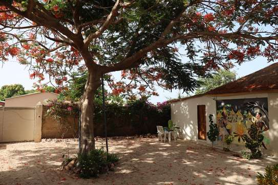 Magnifique campement Touristique à vendre à Toubacouta image 6