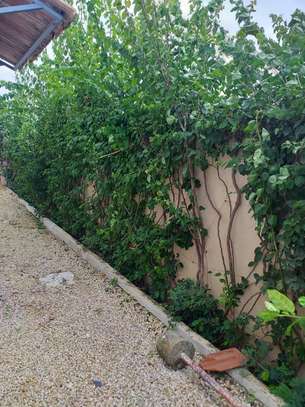 VILLA À VENDRE À LA SOMONE image 12