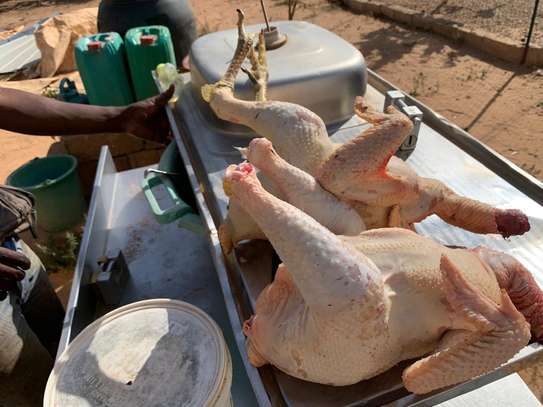 POULET image 2