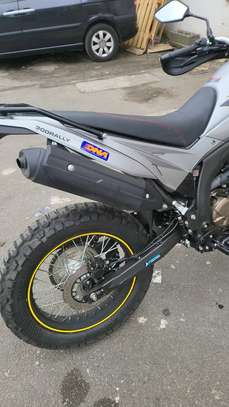 VENANT MAGNIFIQUE  VOGE 300 tout terrain image 5