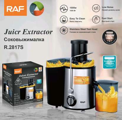 Extracteur de jus professionnel (mixeur) image 4