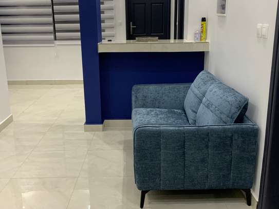 APPARTEMENT MEUBLÉ À LOUER MERMOZ image 4