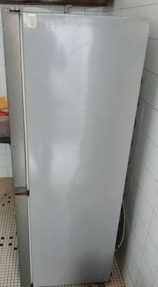 FRIGO image 2