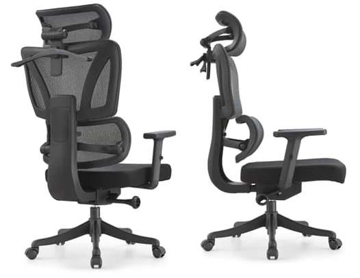 Fauteuil ergonomique image 1