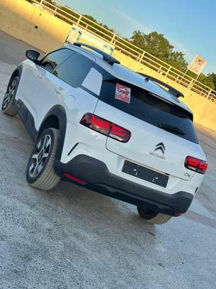 Citroen  C4 Cactus Modèle 2019 image 15