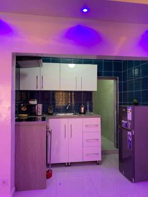 Spacieux et Luxueux studio F2 Meublé image 10