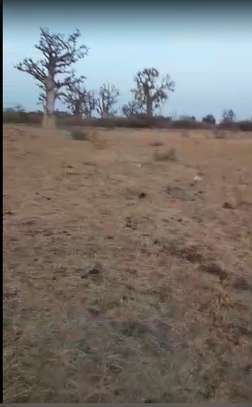 Terrain de plus d1hectare a céder a Nguekhokh image 1