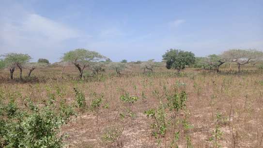 Terrain agricole accessible a vendre image 4