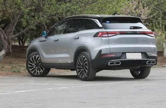 BAIC (Beijing) X7 image 14