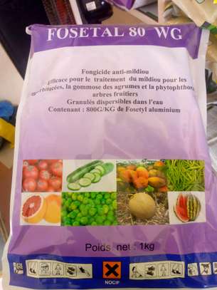 Produits agricoles image 9