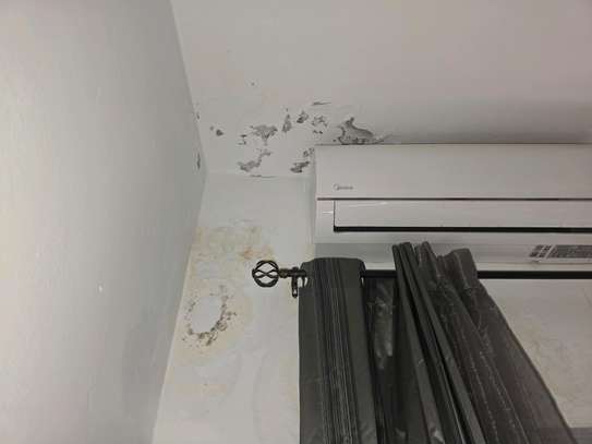 Appartement à louer image 13