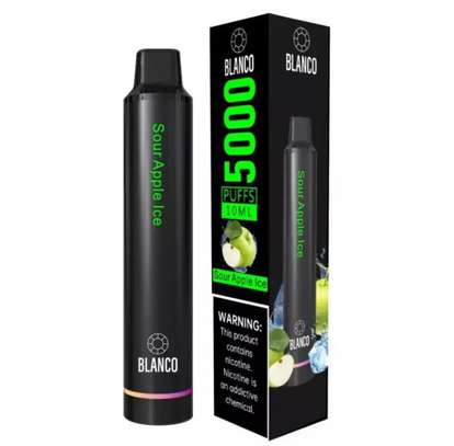 Blanco Rechargeable Disposable 5000 Puffs - Cool Mint image 1