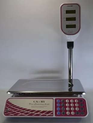 Balance numérique Camry 40KGMax image 7