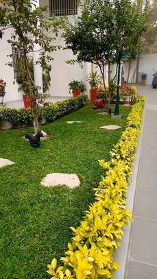 Horticulture image 9
