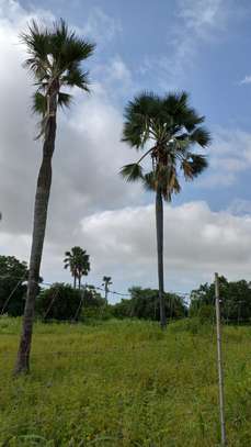 Terrain à Vendre sur l’île de Marlodj image 12