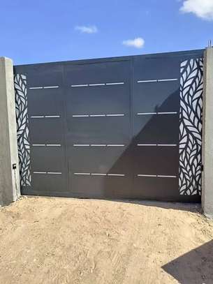 porte d'entrée ou garage en fer image 2