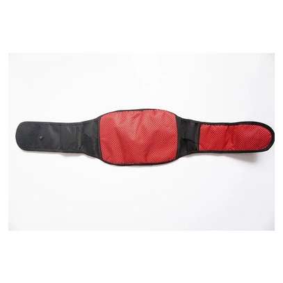 Ceinture lombaire, thérapie magnétique image 5