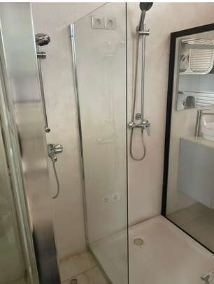 Parroi ou cabine de douche image 4