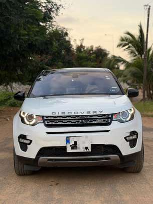 Range Rover Discovery image 2
