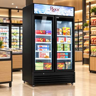 REFRIGERATEUR ROCH VERTICAL 2PORTES 700LITRES VITRINE image 2