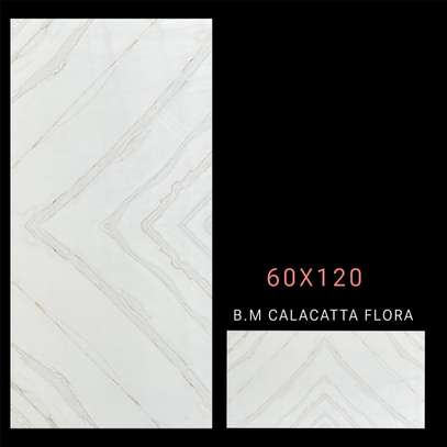 CARREAUX GRÈS POLY 60X120 image 7