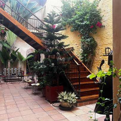 BELLE MAISON D'HOTES A VENDRE A SAINT-LOUIS image 4