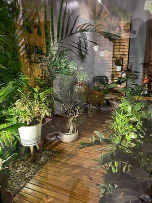 Appartement à louer à Ngor almadies image 14