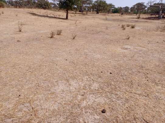 2,50 ha à fort potentiel : l’emplacement idéal vers Tassette image 3