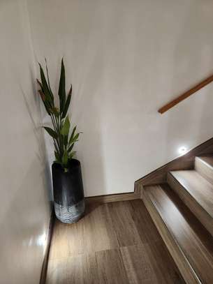 Appartement à louer Mamelles image 9