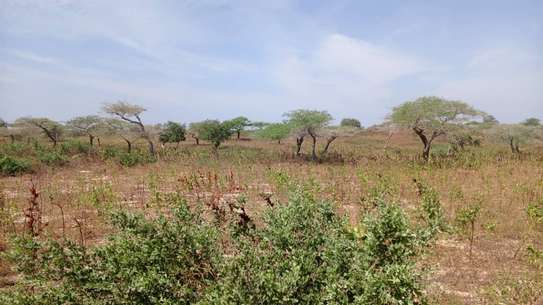 Terrain agricole accessible a vendre image 3
