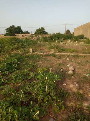Terrain 420m2 à vendre à mbour image 2