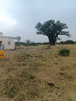 21 hectares à vendre à sindia entre Nguekhokh et Ngerigne image 13