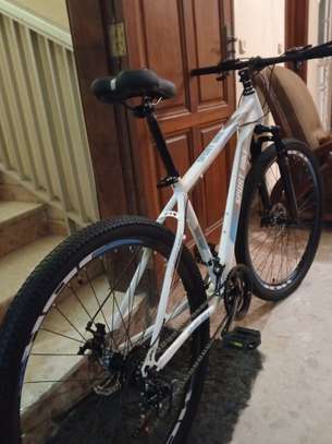 VTT 29 pouces blanc suspension avant image 7