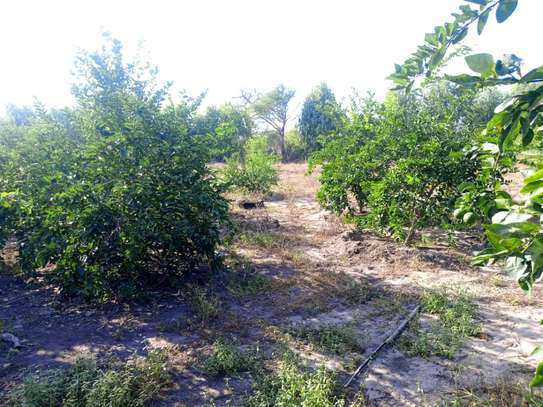 Ferme agricole à vendre à Darou koudoss image 3
