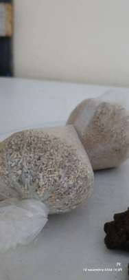 Gombo sec image 1