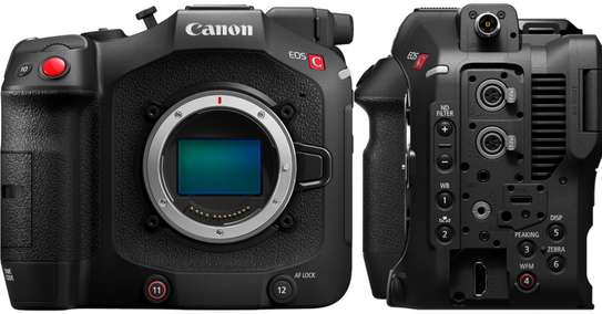 Canon Cinéma image 2