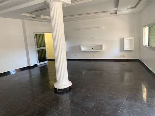 Appartement de 300m2 aux mamelles image 1