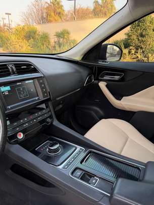 Jaguar venant image 7