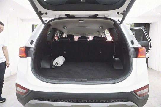 Hyundai Santafe 2019 image 12