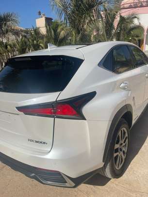 Lexus nx 300  2020 image 14